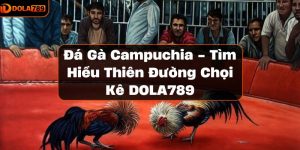 Đá Gà Campuchia - Tìm Hiểu Thiên Đường Chọi Kê DOLA789